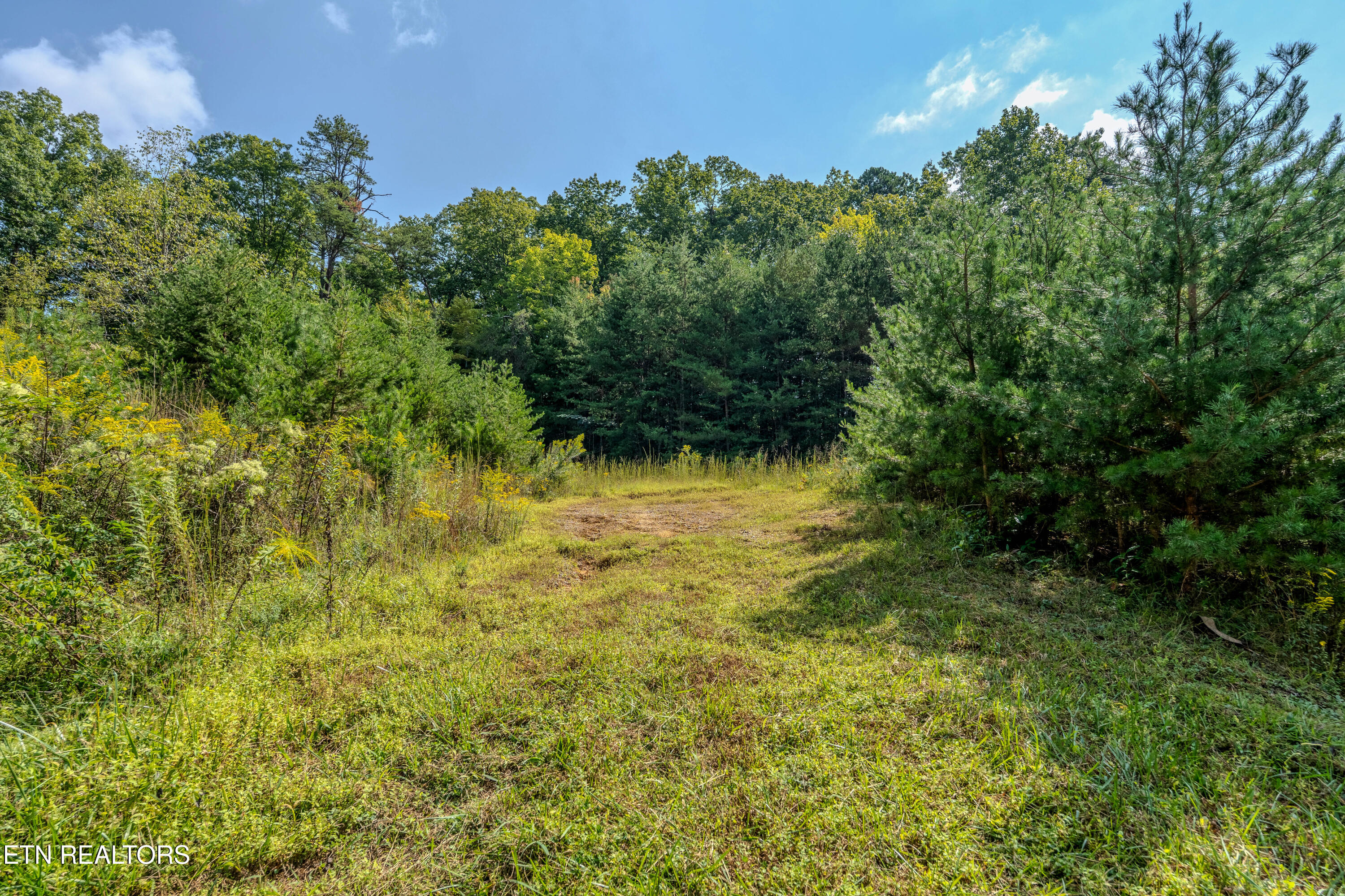 4323 Boogertown Road Sevierville TN 37876