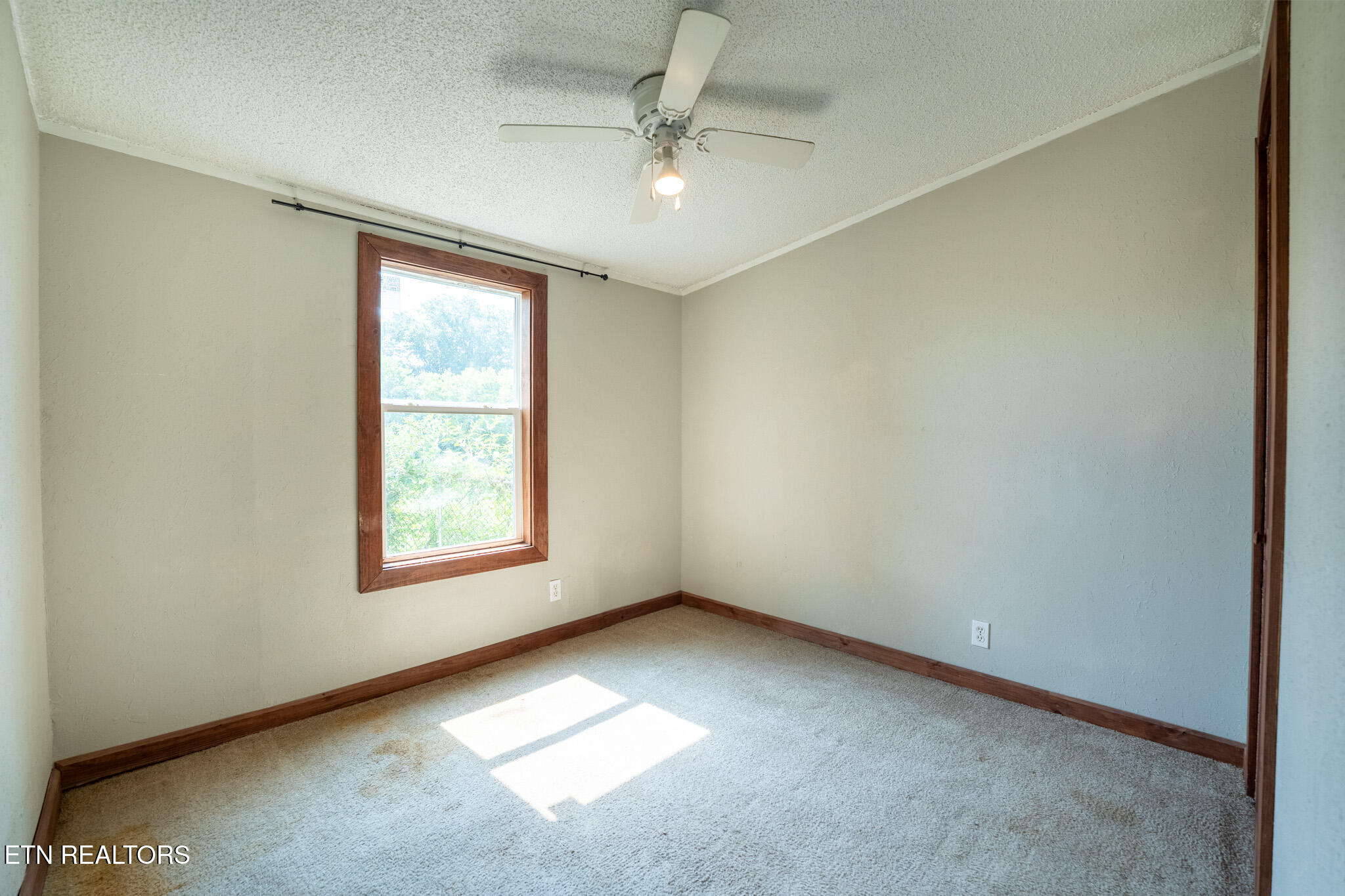 852 Seabrook Street Newport TN 37821