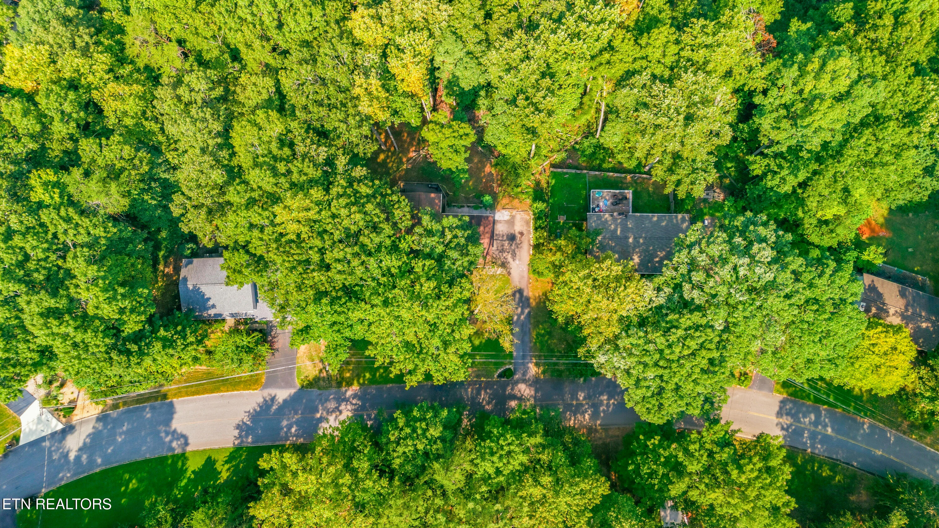 1119 W Outer Drive Oak Ridge TN 37830
