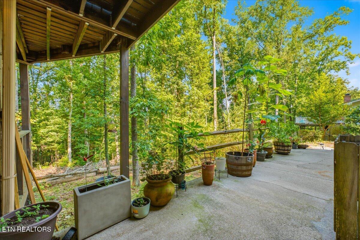 1119 W Outer Drive Oak Ridge TN 37830
