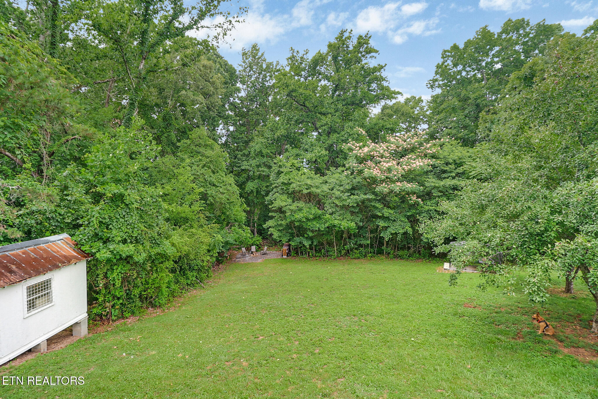 709 Skyline Drive Harriman TN 37748