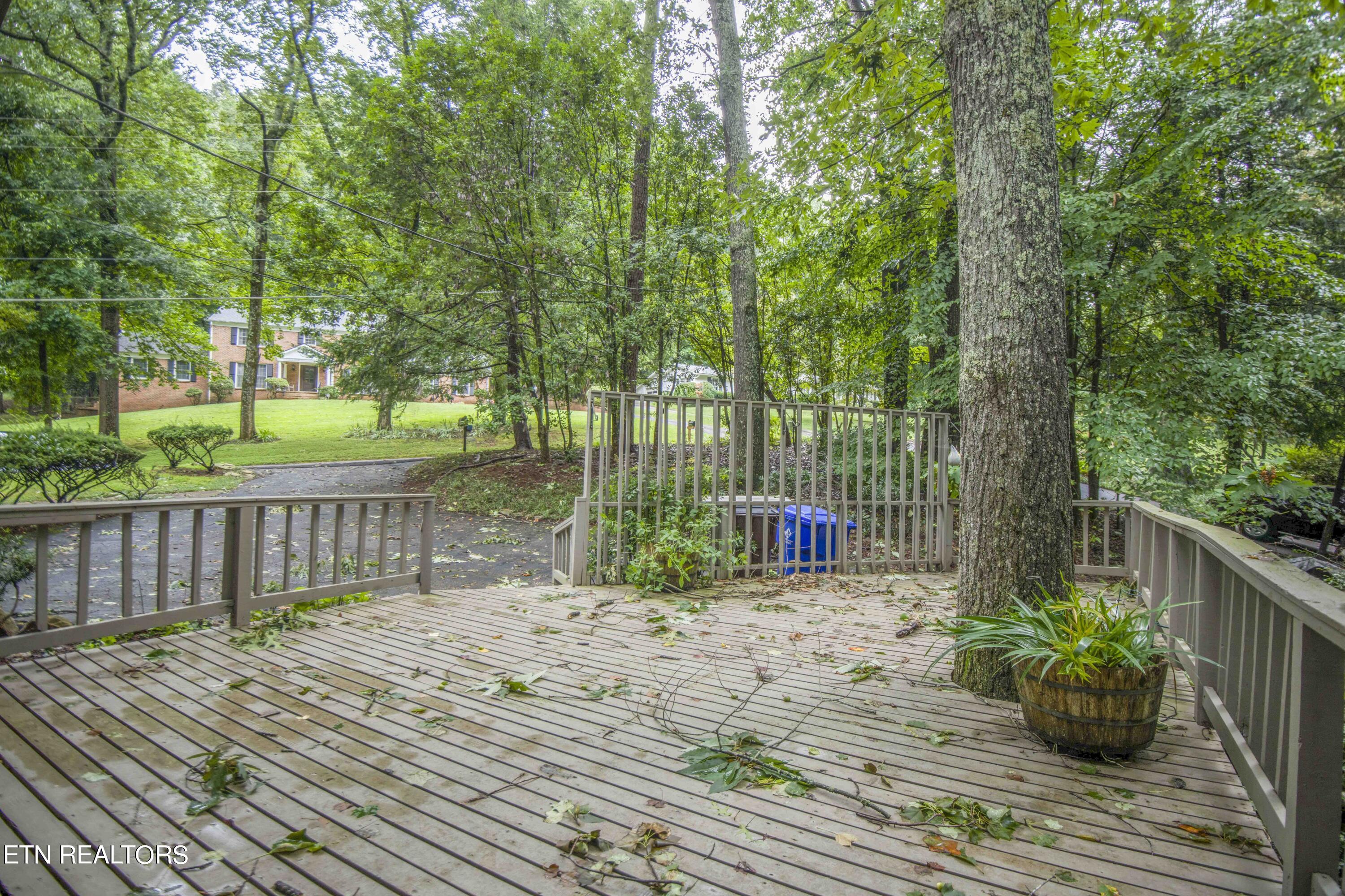 5501 Glen Cove Drive Knoxville TN 37919