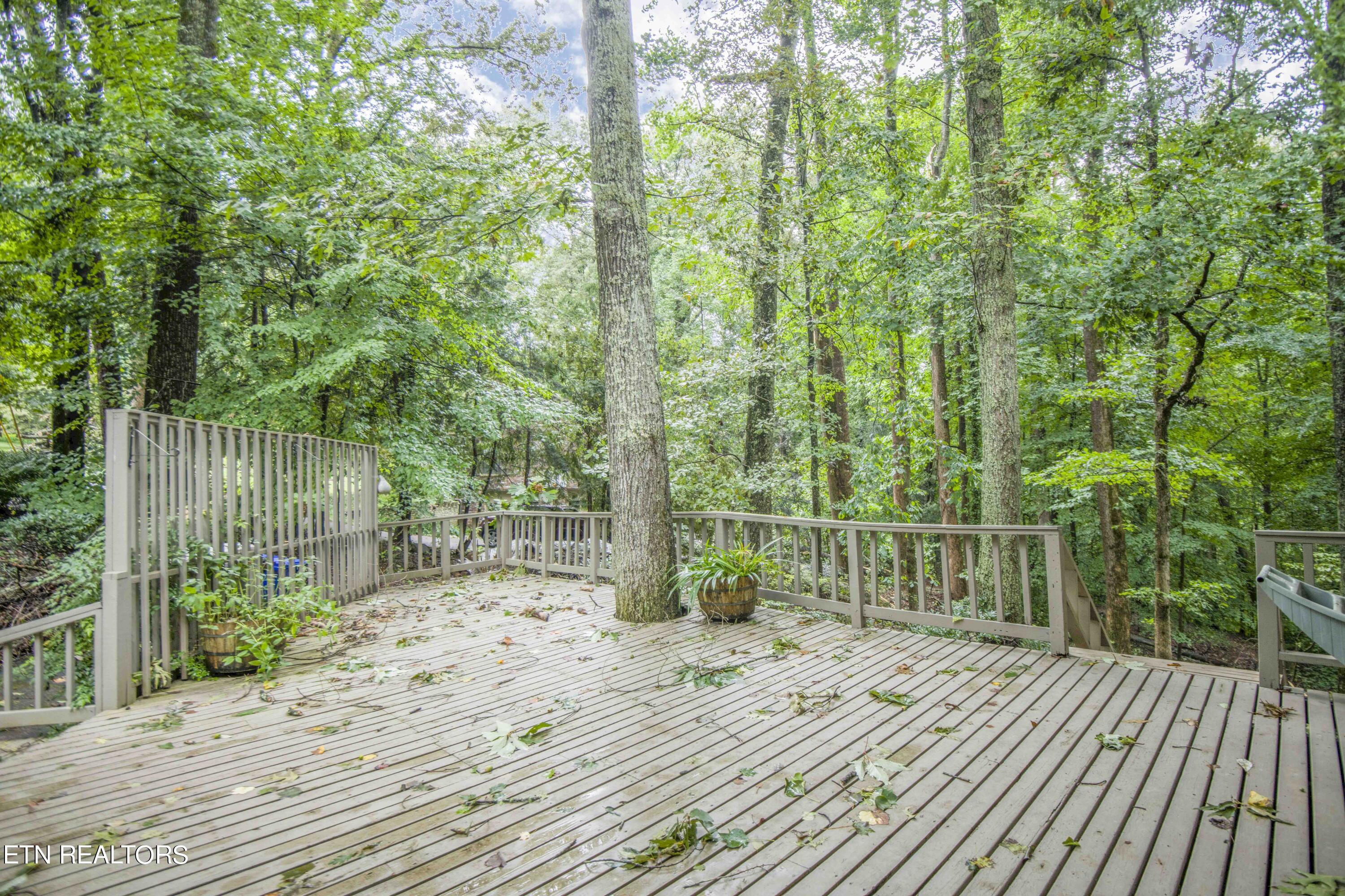 5501 Glen Cove Drive Knoxville TN 37919