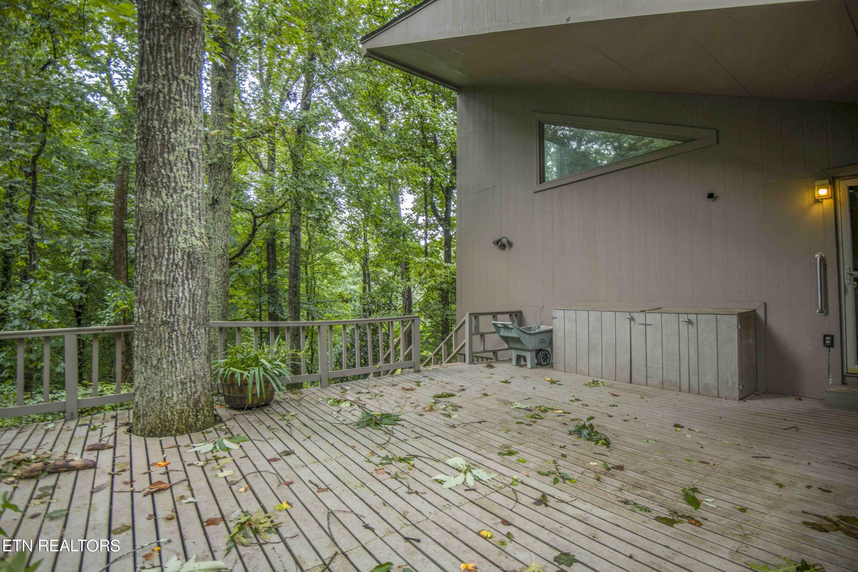 5501 Glen Cove Drive Knoxville TN 37919