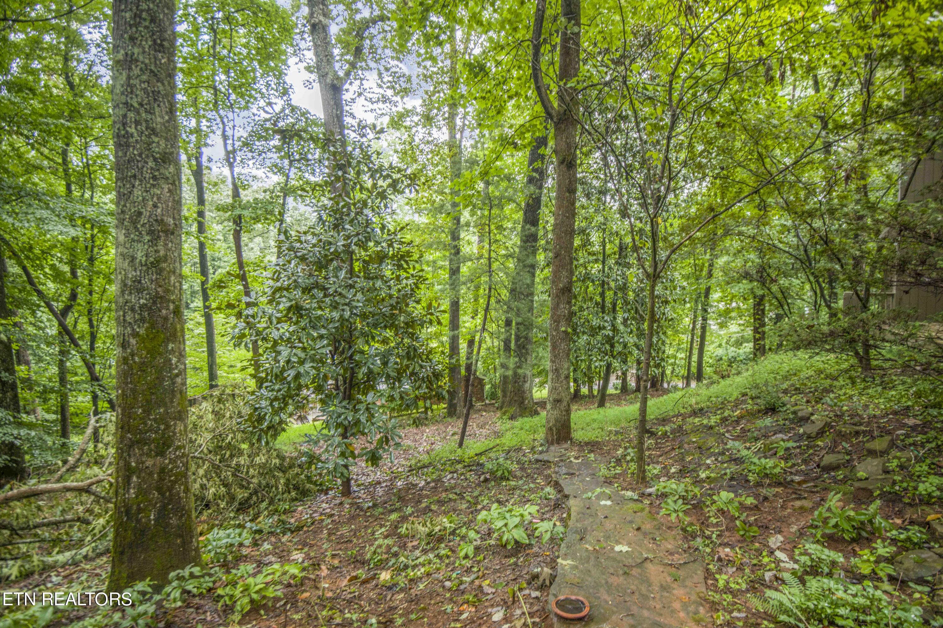 5501 Glen Cove Drive Knoxville TN 37919