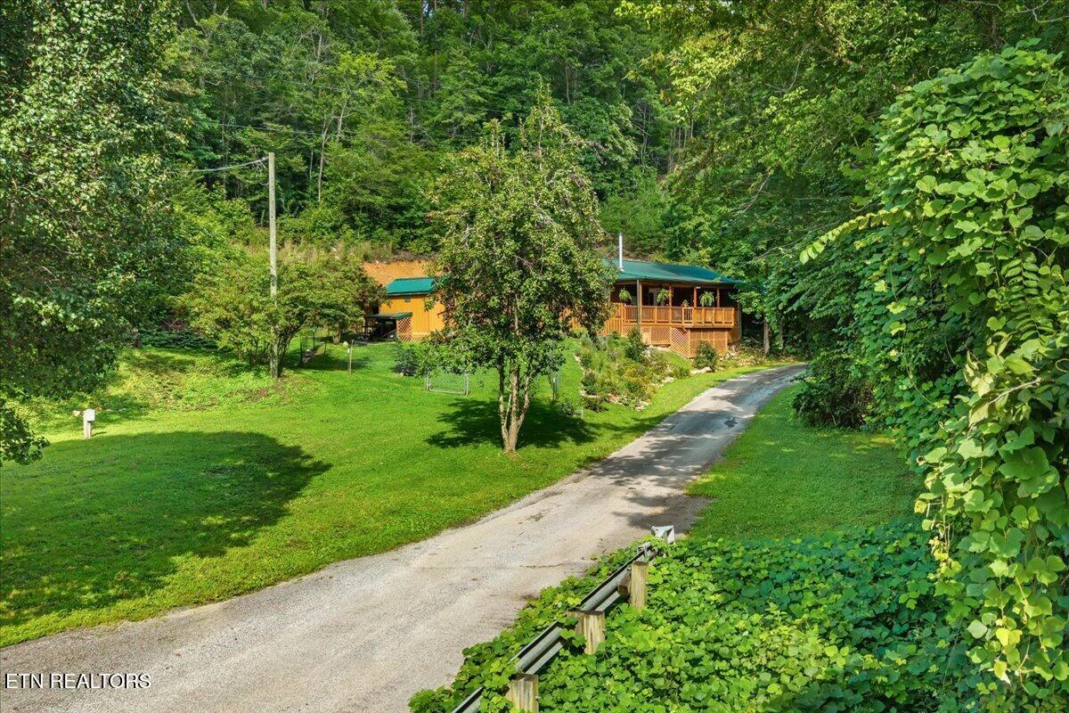229 Smokey Run Road Tellico Plains TN 37385