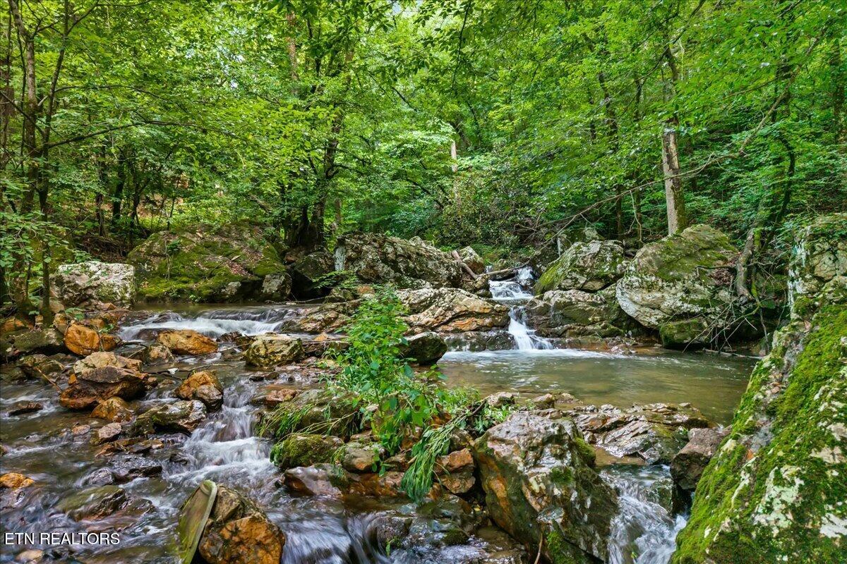 229 Smokey Run Road Tellico Plains TN 37385