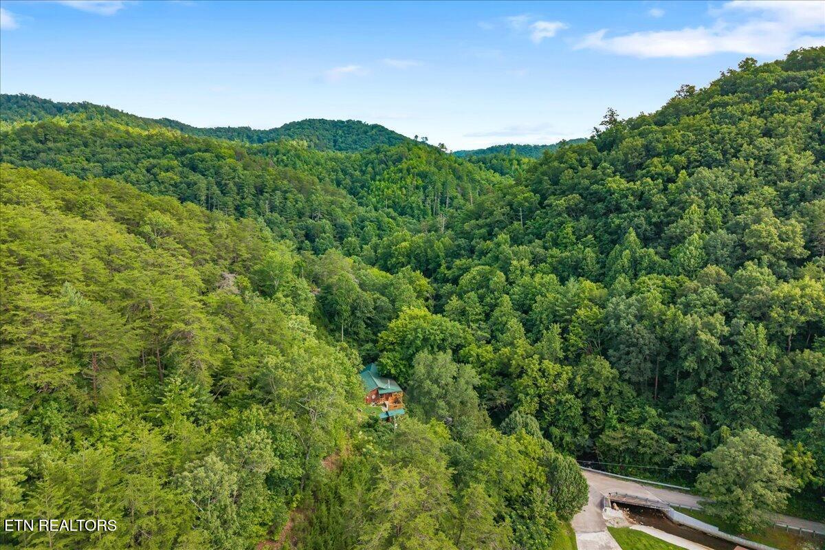 229 Smokey Run Road Tellico Plains TN 37385