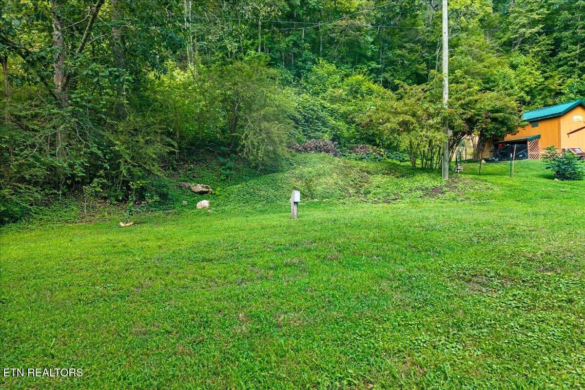 229 Smokey Run Road Tellico Plains TN 37385