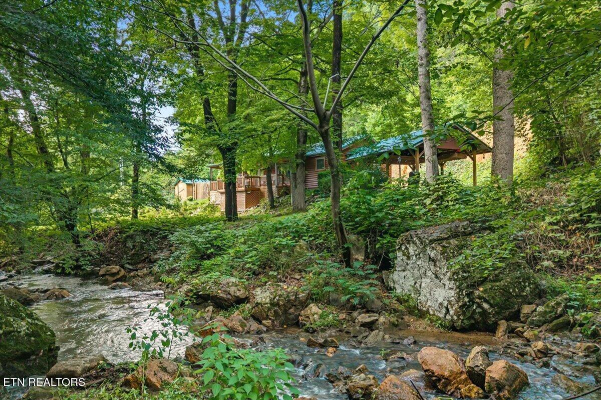 229 Smokey Run Road Tellico Plains TN 37385