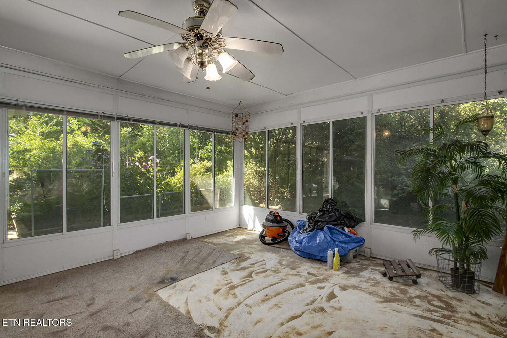 191 Glenn Circle Powell TN 37849