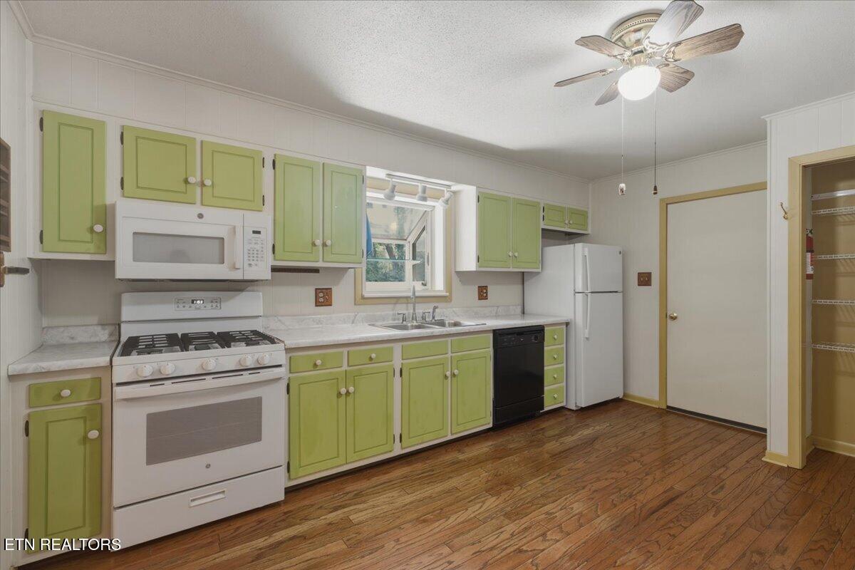 3800 Seeber Drive Knoxville TN 37918