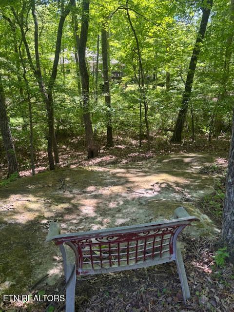 101 Hilton Lane Crossville TN 38558