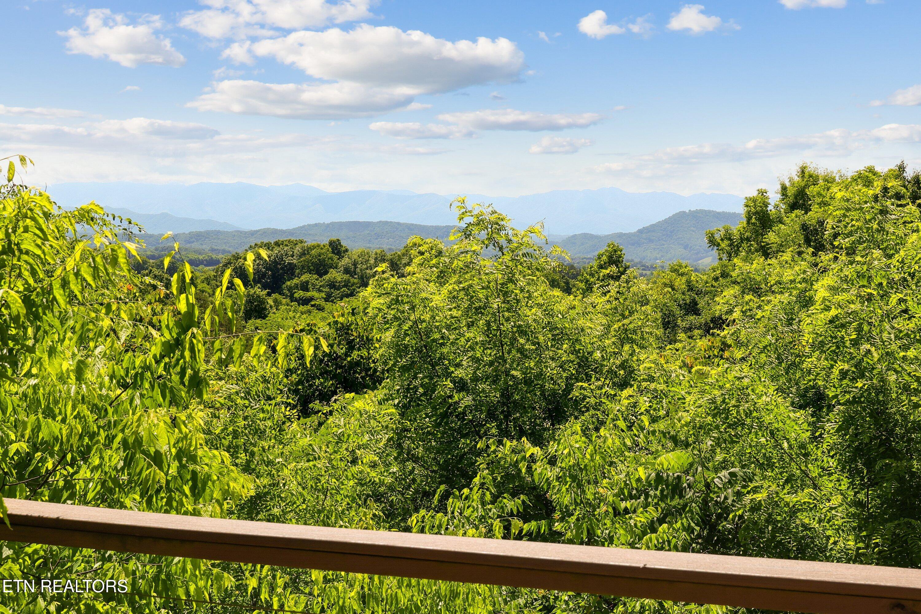 151 Ruth Lane Sevierville TN 37862