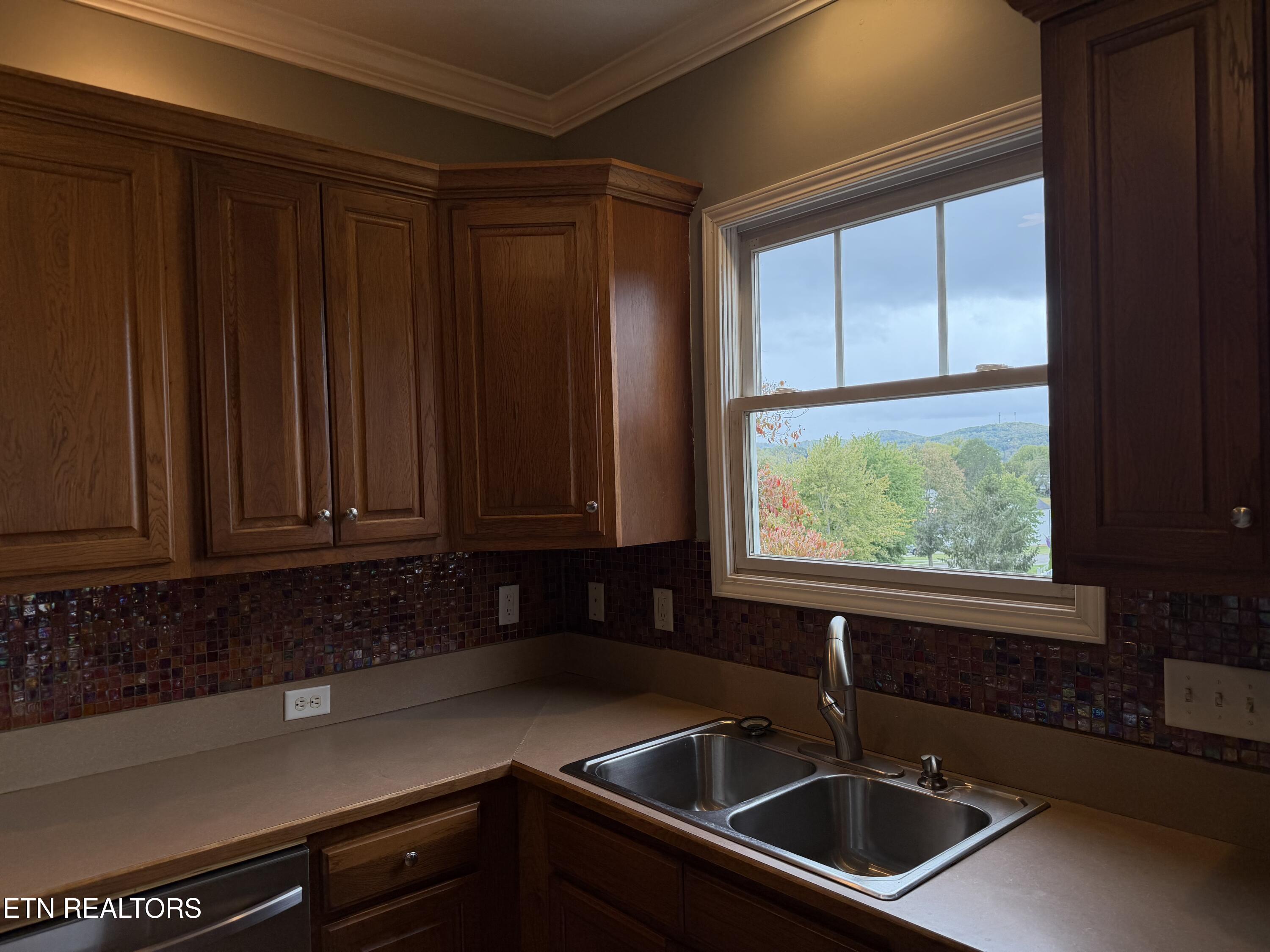 117 Larkspur Drive Andersonville TN 37705