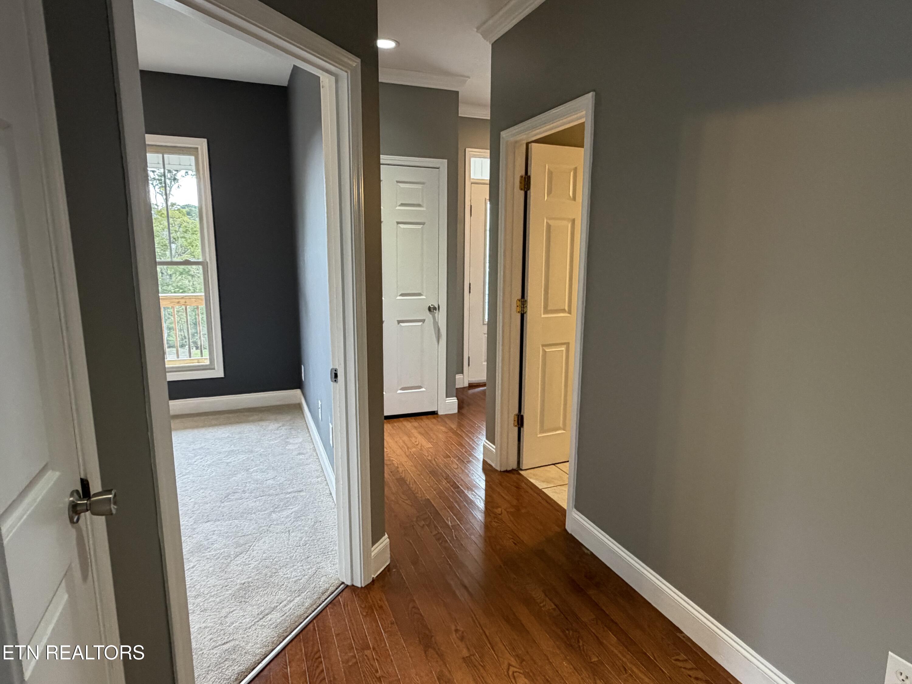 117 Larkspur Drive Andersonville TN 37705