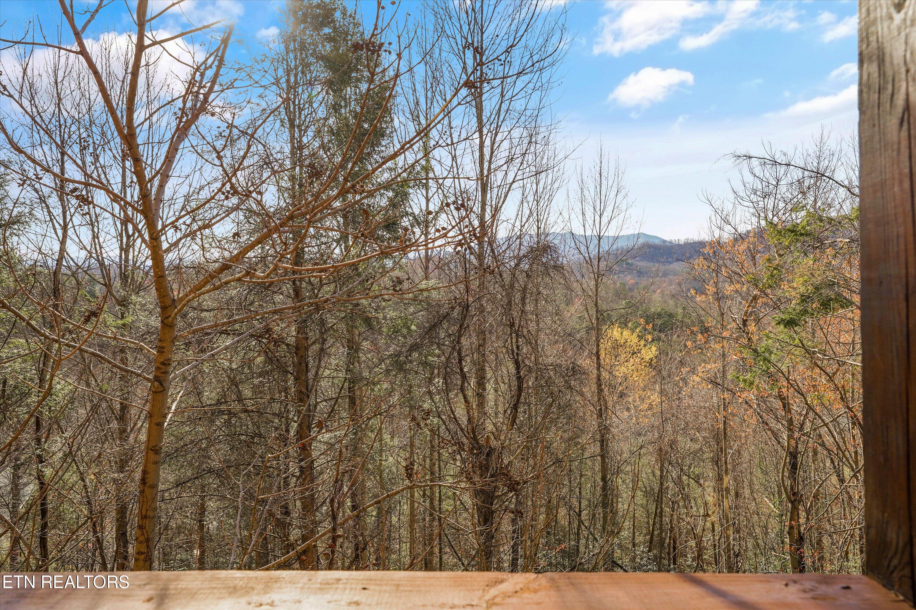 4449 Forest Vista Way Pigeon Forge TN 37863