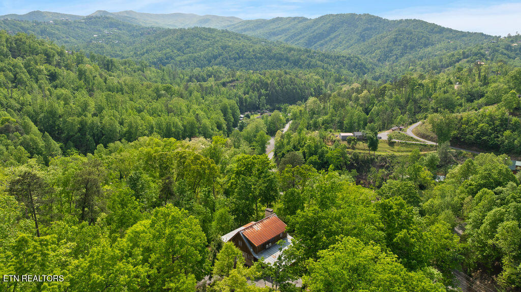 302 Beech Branch Road Gatlinburg TN 37738