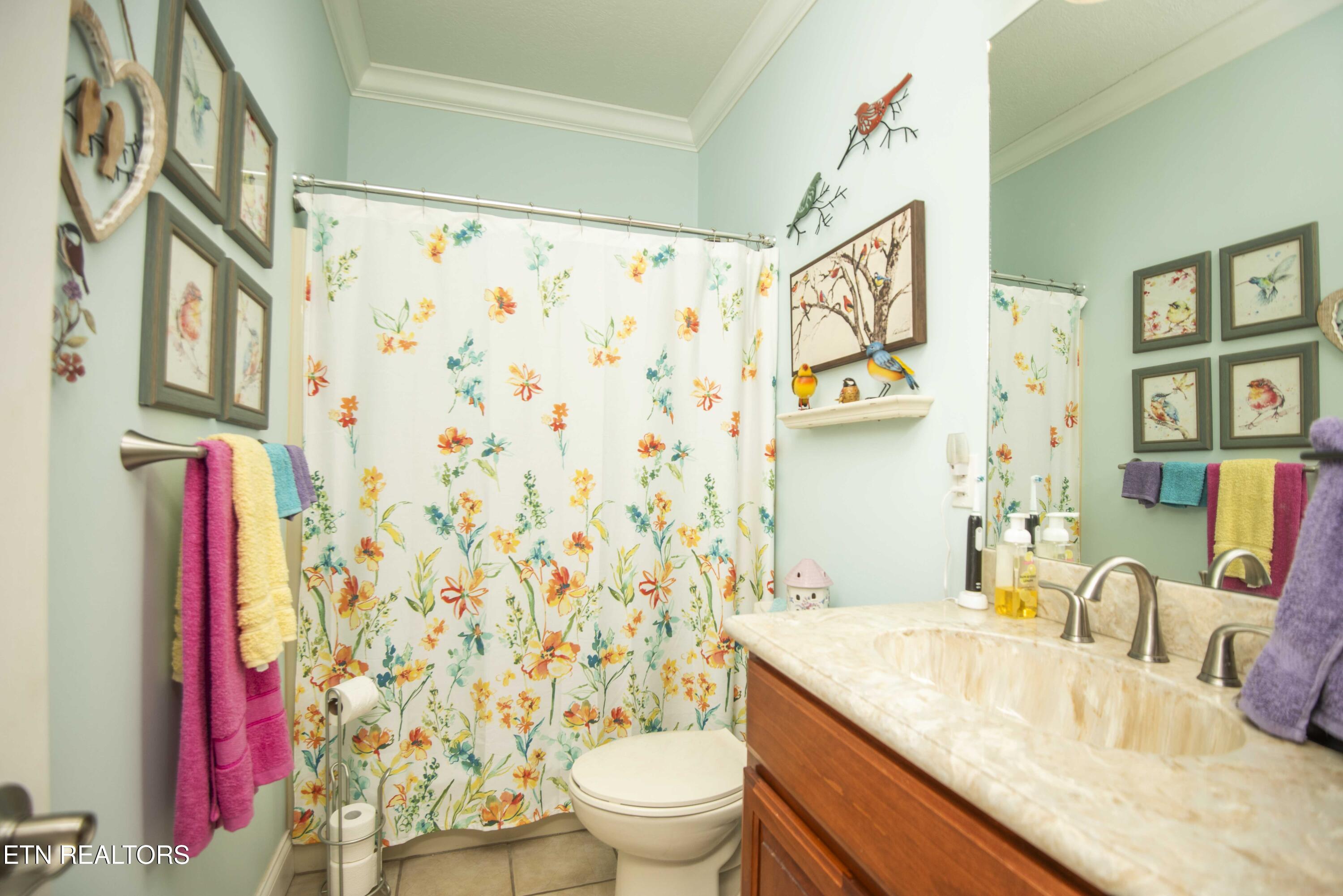 1435 Instrumental Avenue Sevierville TN 37876