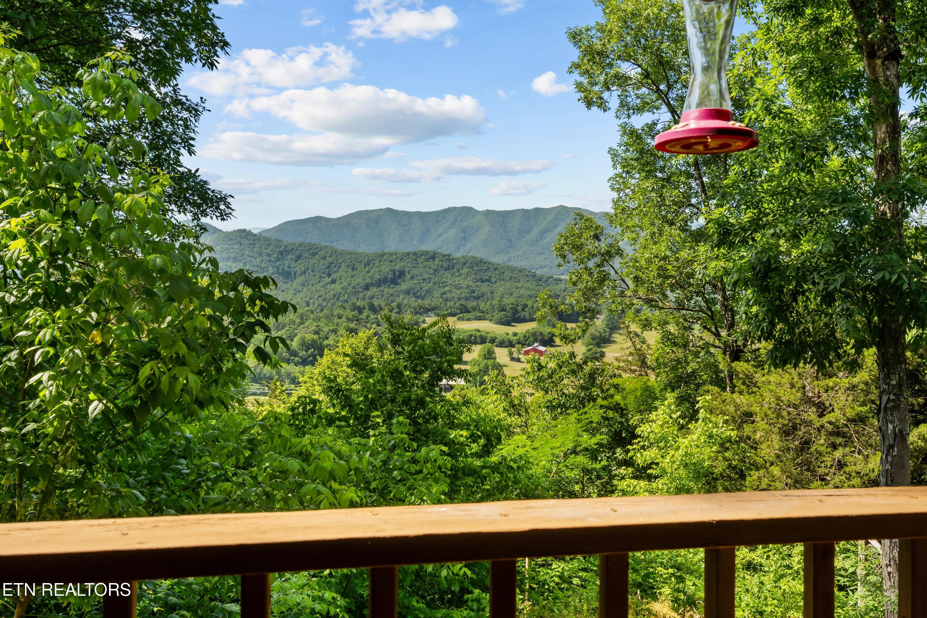 126 Johnson Mountain Way Townsend TN 37882