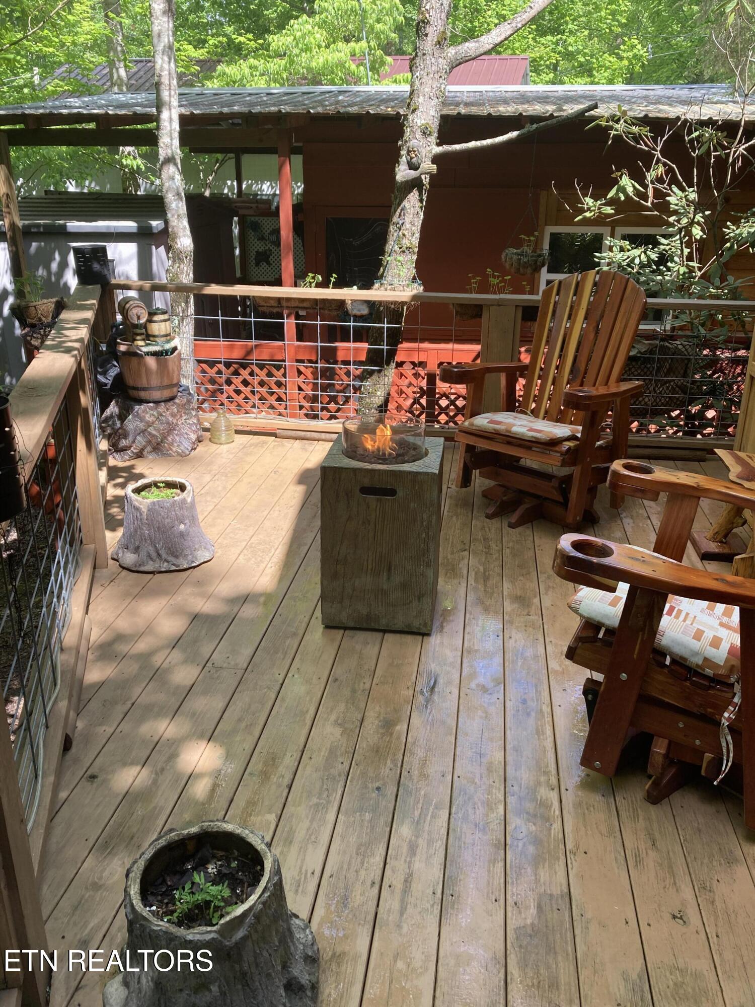 299 Harmony Way Cosby TN 37722