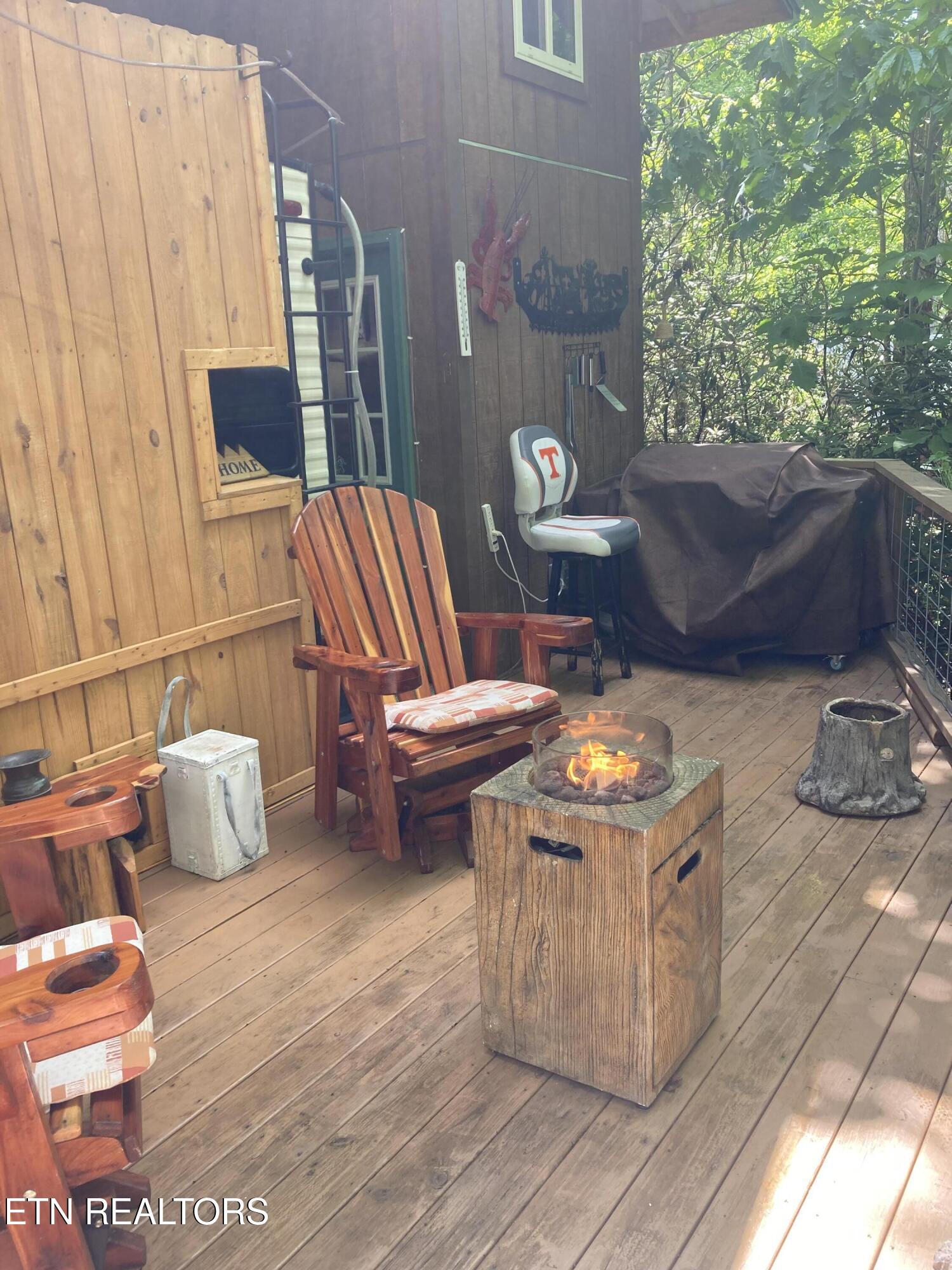 299 Harmony Way Cosby TN 37722