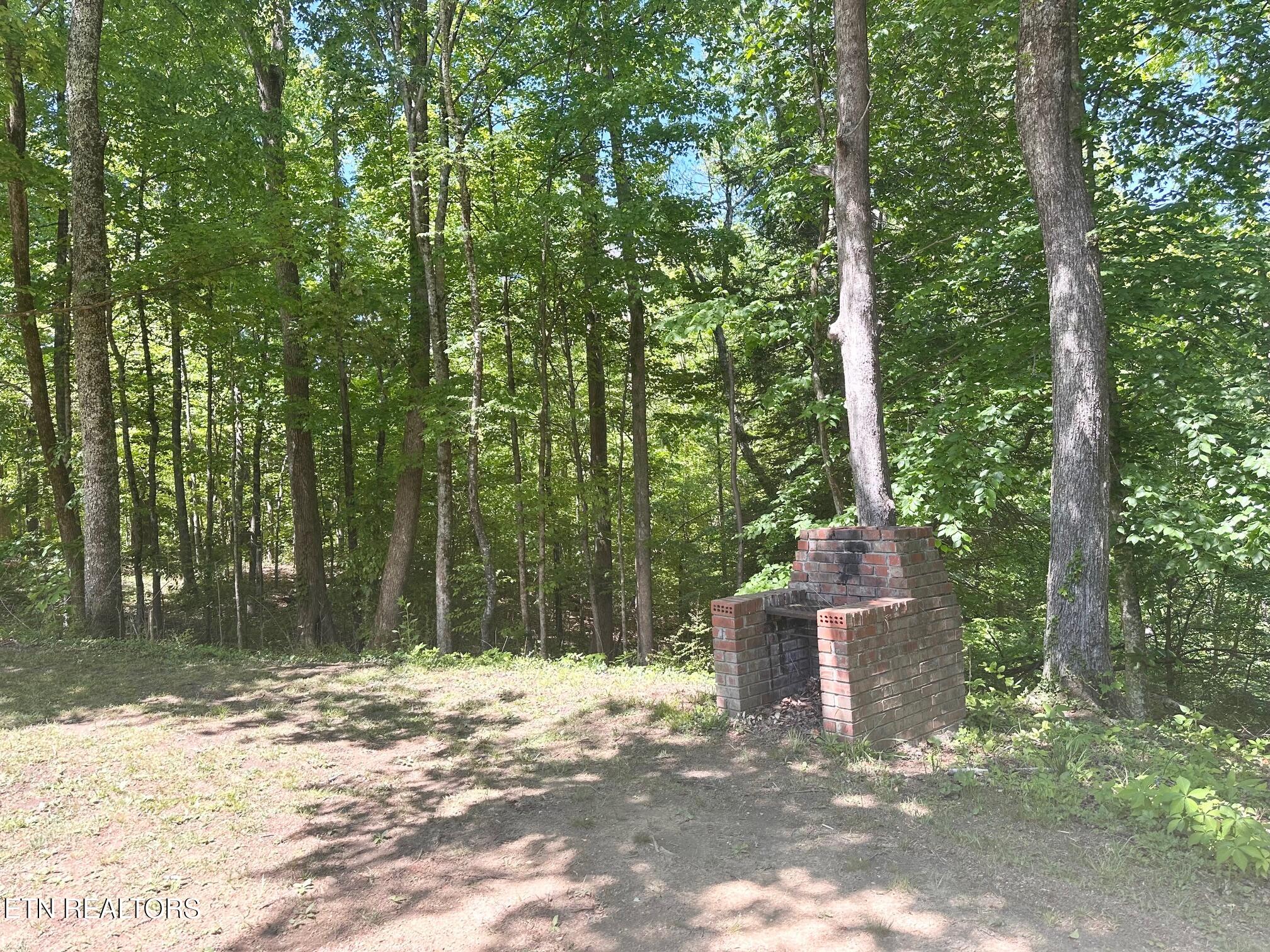 320 Reed Place Monterey TN 38574
