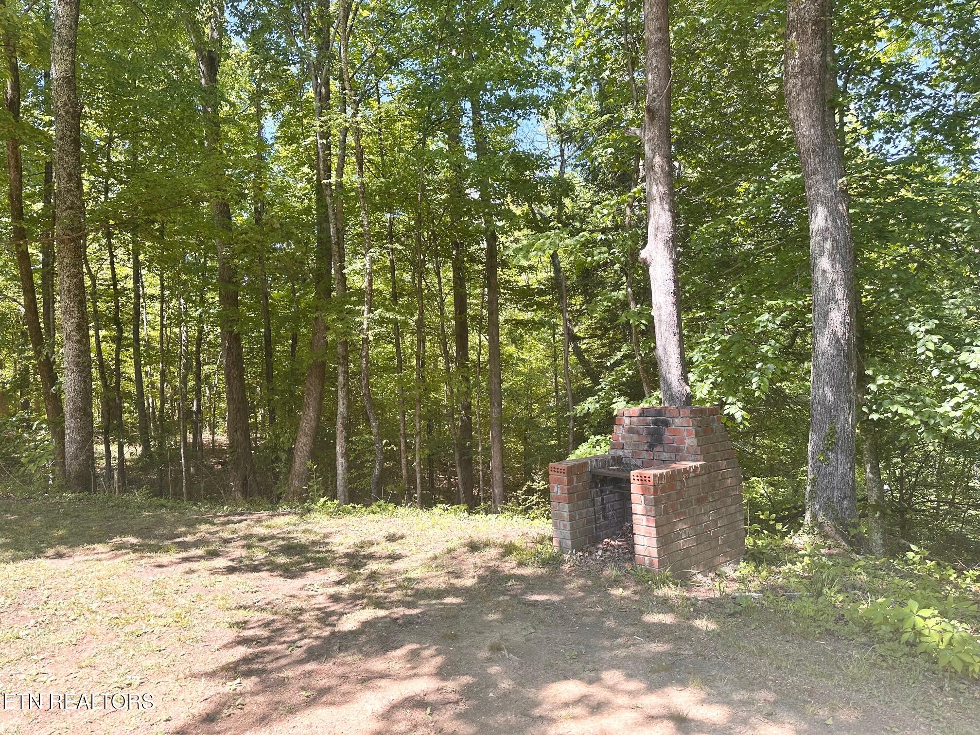 320 Reed Place Monterey TN 38574