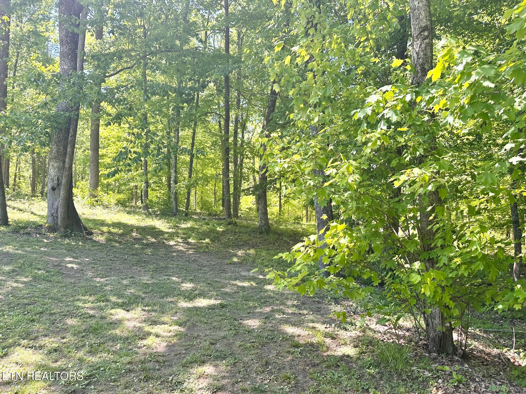 320 Reed Place Monterey TN 38574