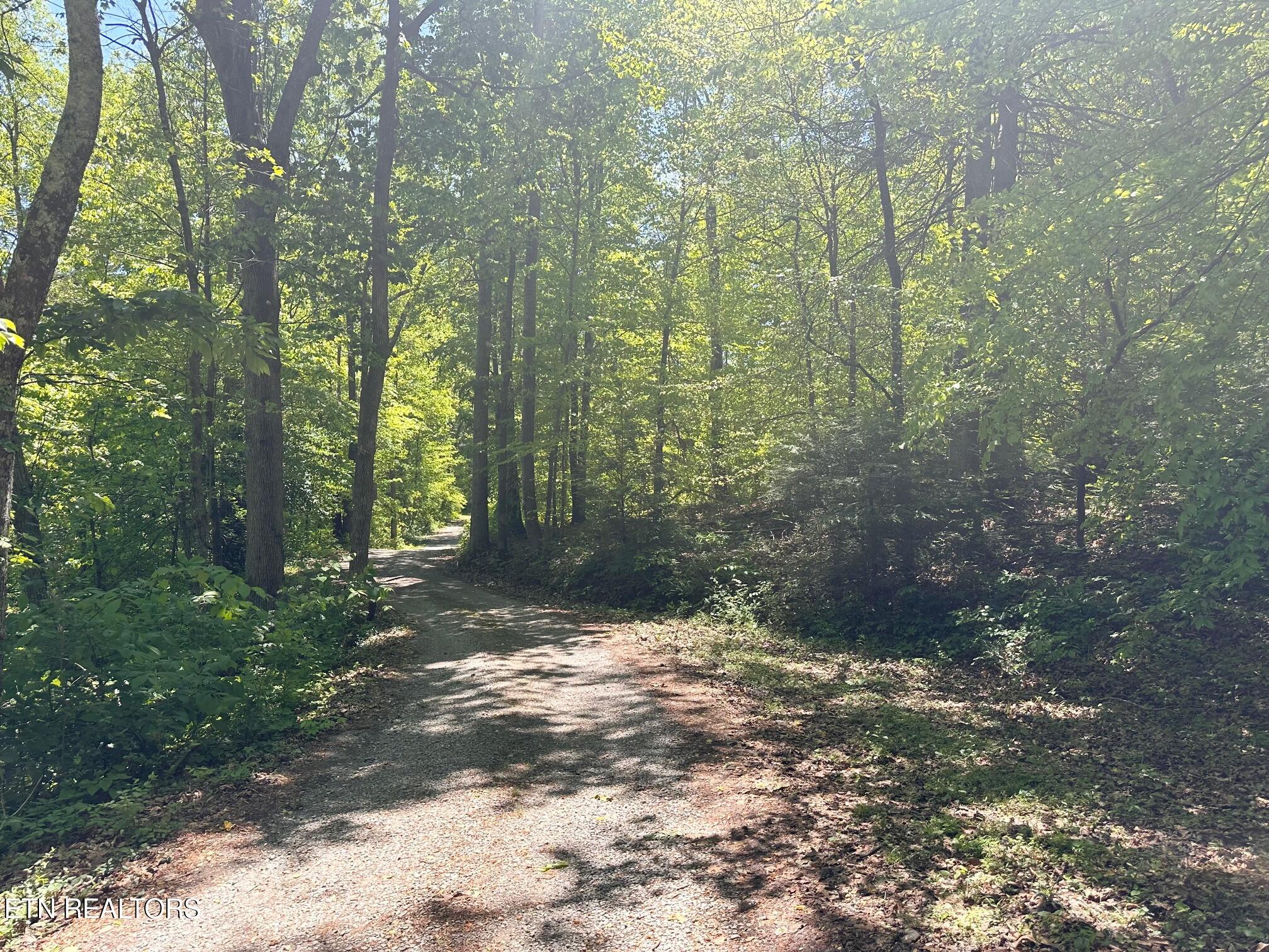 320 Reed Place Monterey TN 38574