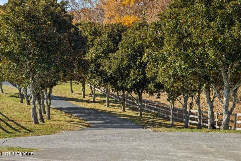 6130 James Cline Road Talbott TN 37877