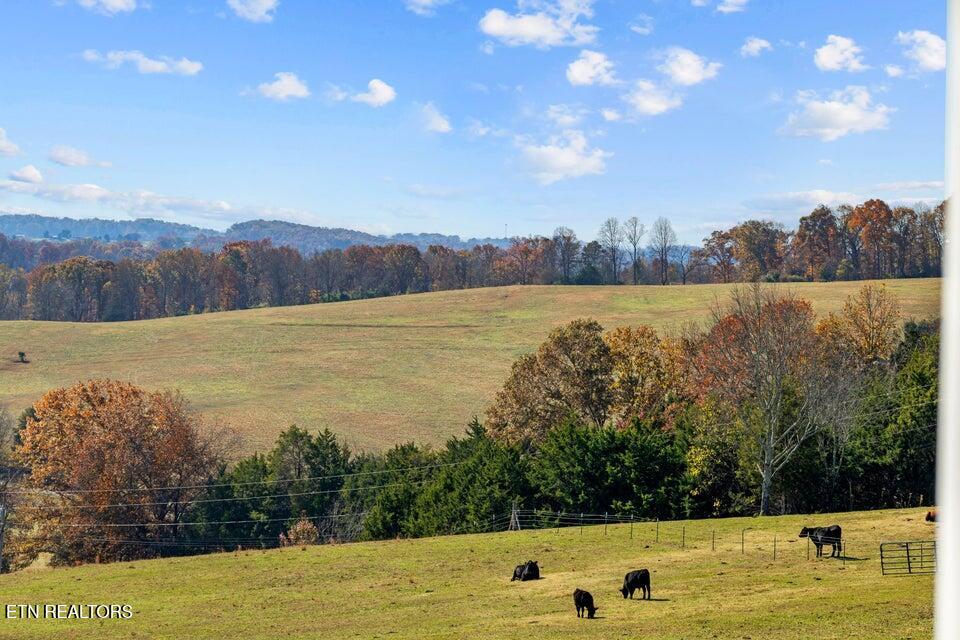 6130 James Cline Road Talbott TN 37877