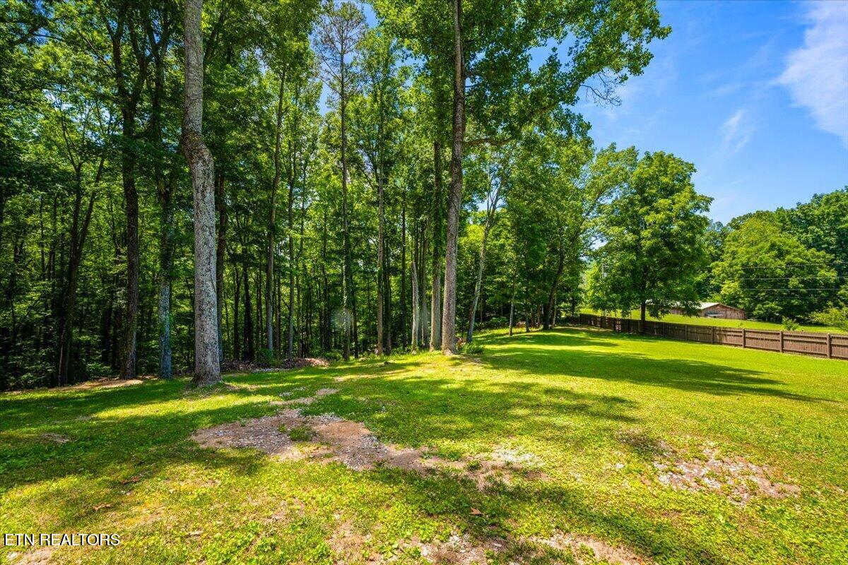 186 Indian Creek Road Jacksboro TN 37757