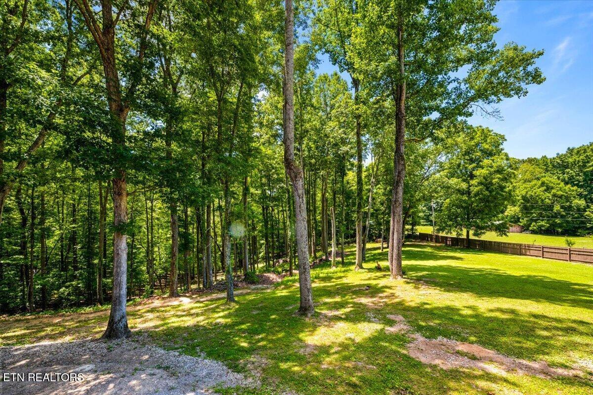186 Indian Creek Road Jacksboro TN 37757