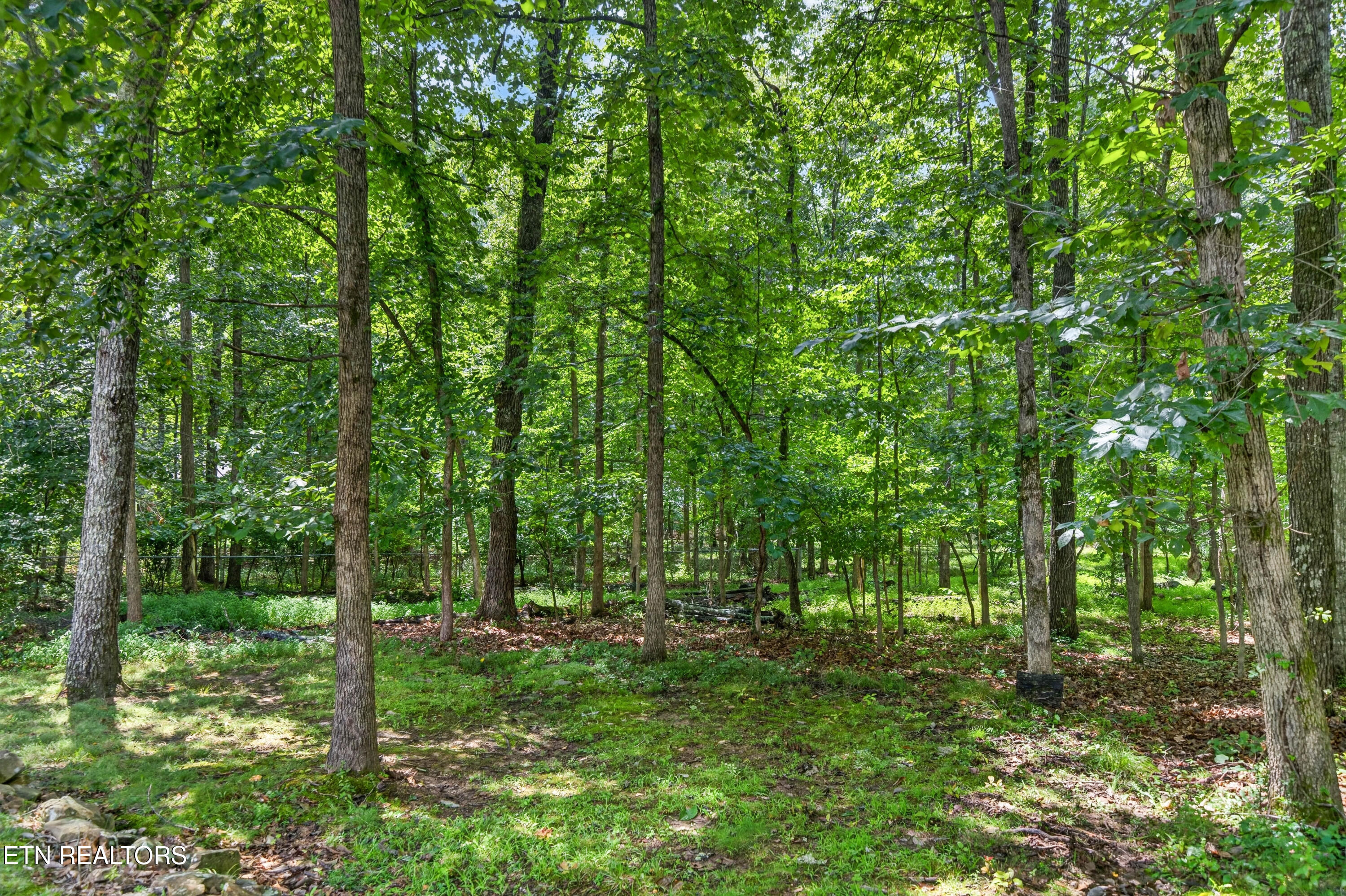 36 Druid Circle Crossville TN 38558