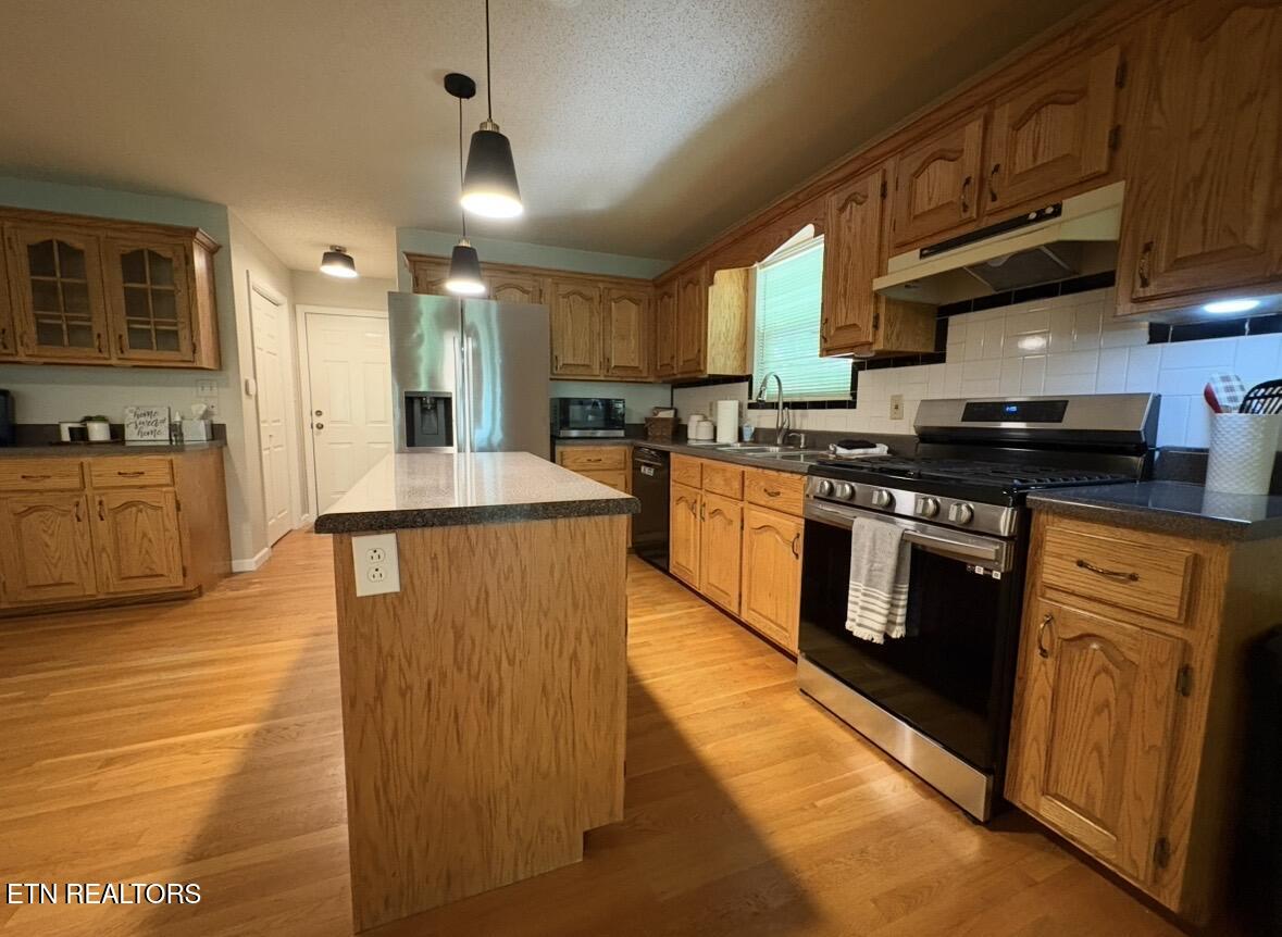 1968 Tranquility Lane Sevierville TN 37876