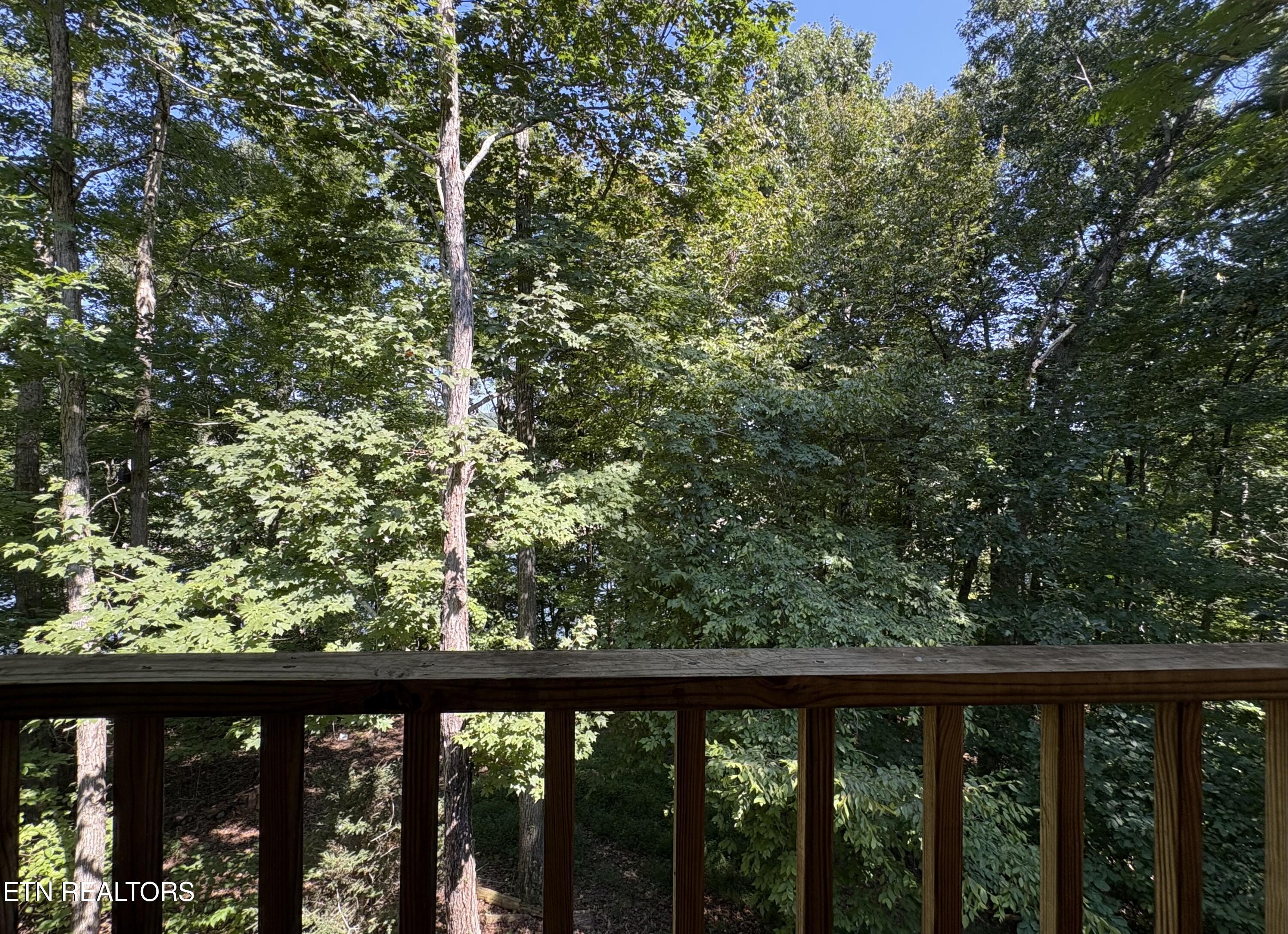 1968 Tranquility Lane Sevierville TN 37876