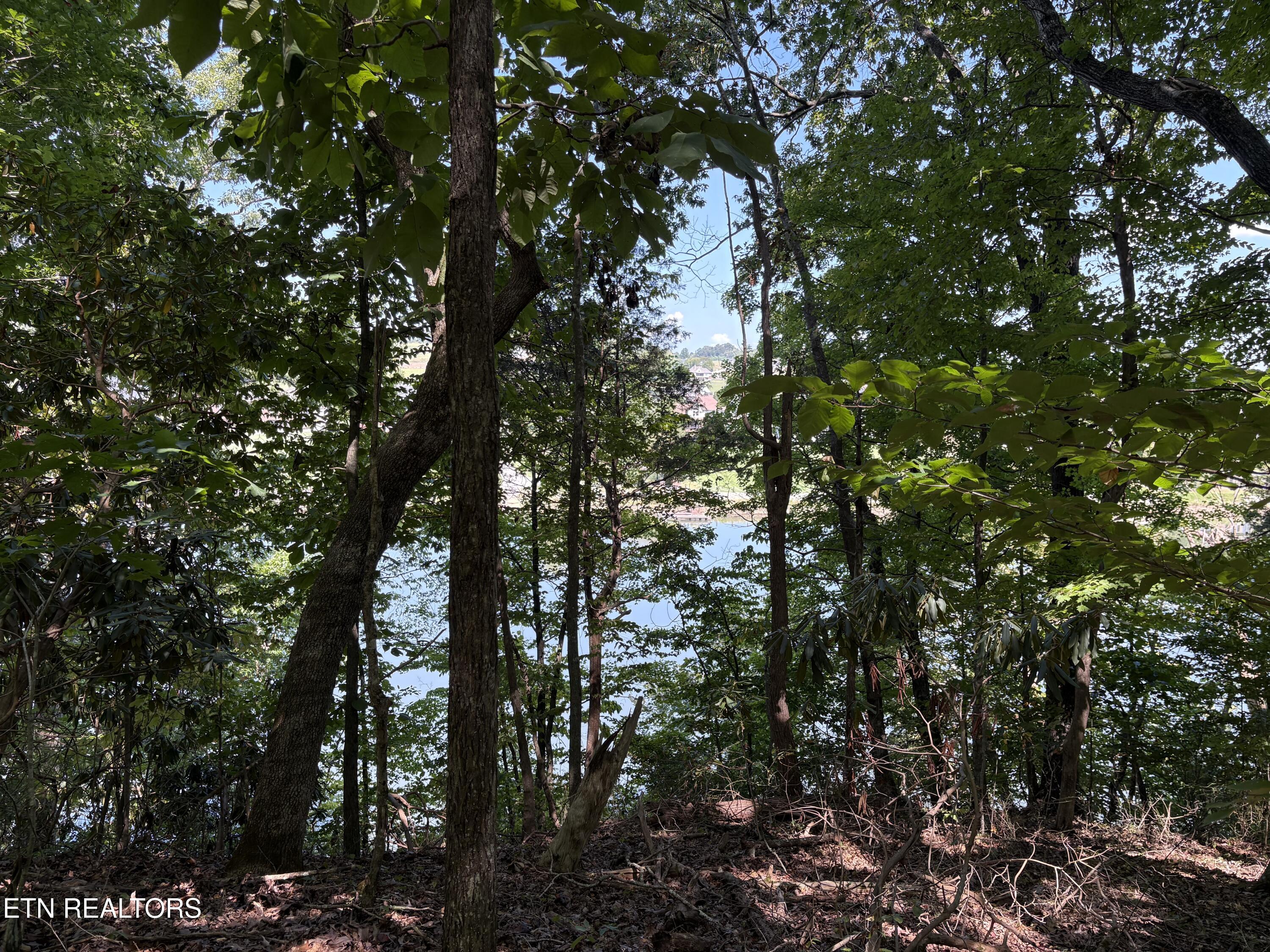 1968 Tranquility Lane Sevierville TN 37876