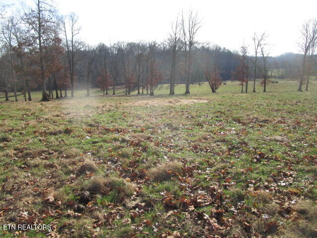 503 Emory Road Blaine TN 37709