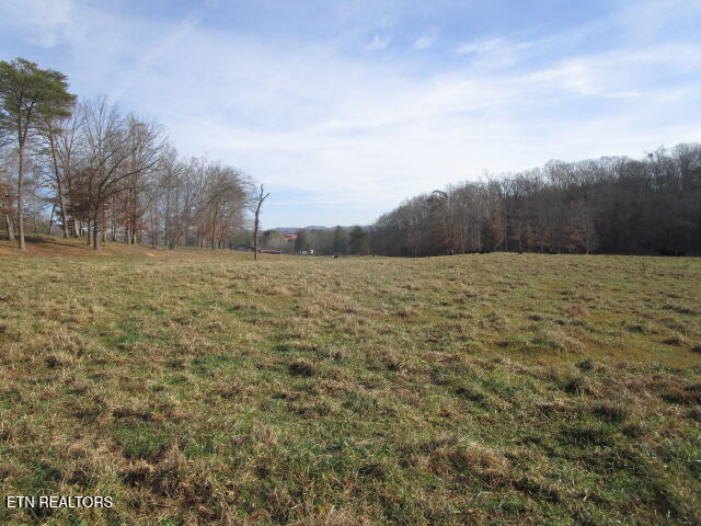 503 Emory Road Blaine TN 37709