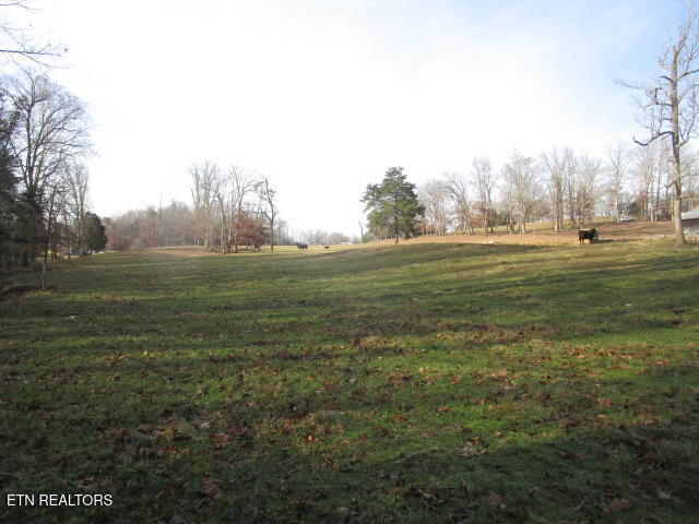 503 Emory Road Blaine TN 37709