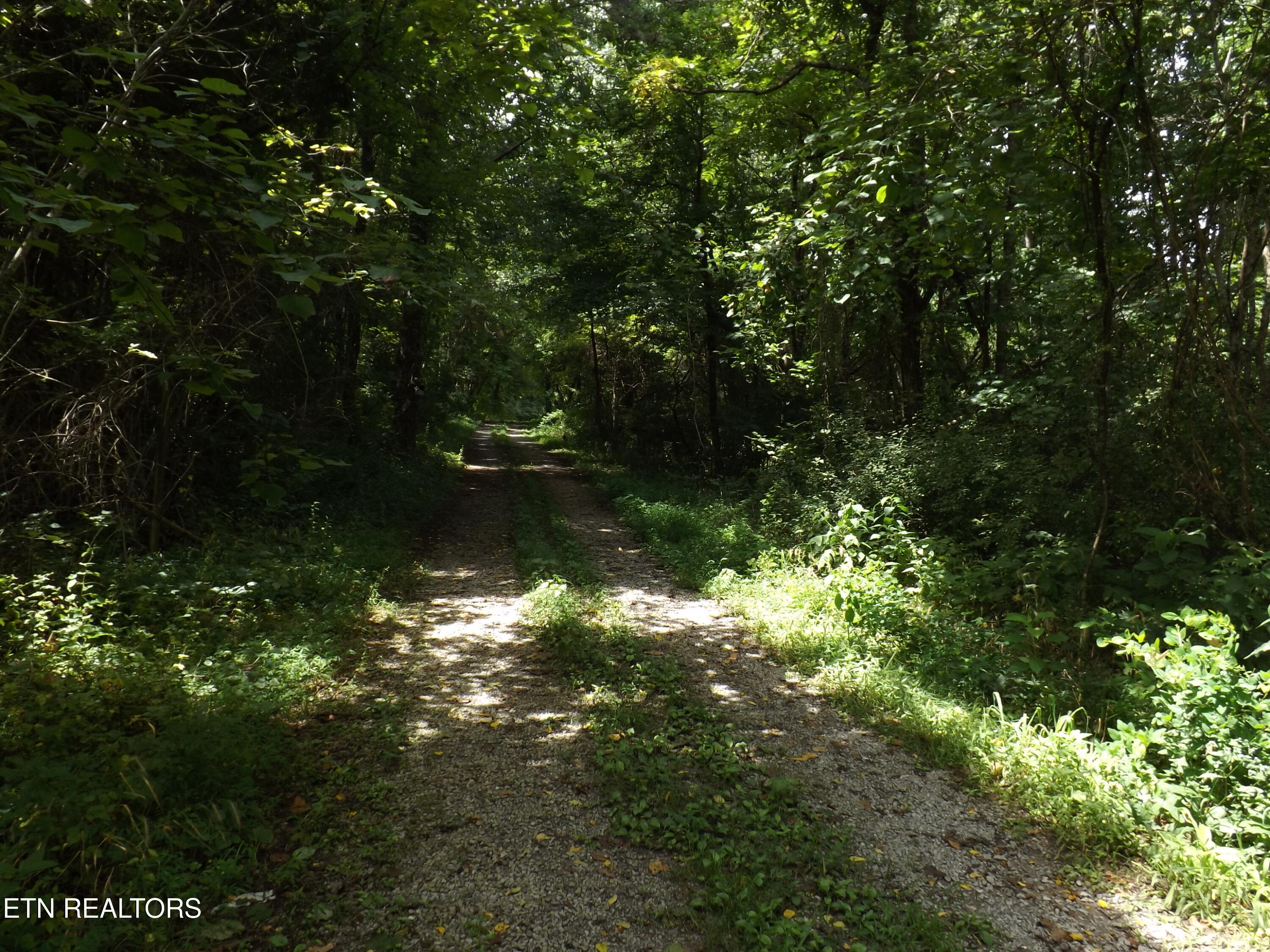 5075 E Highway 25e Tazewell TN 37879