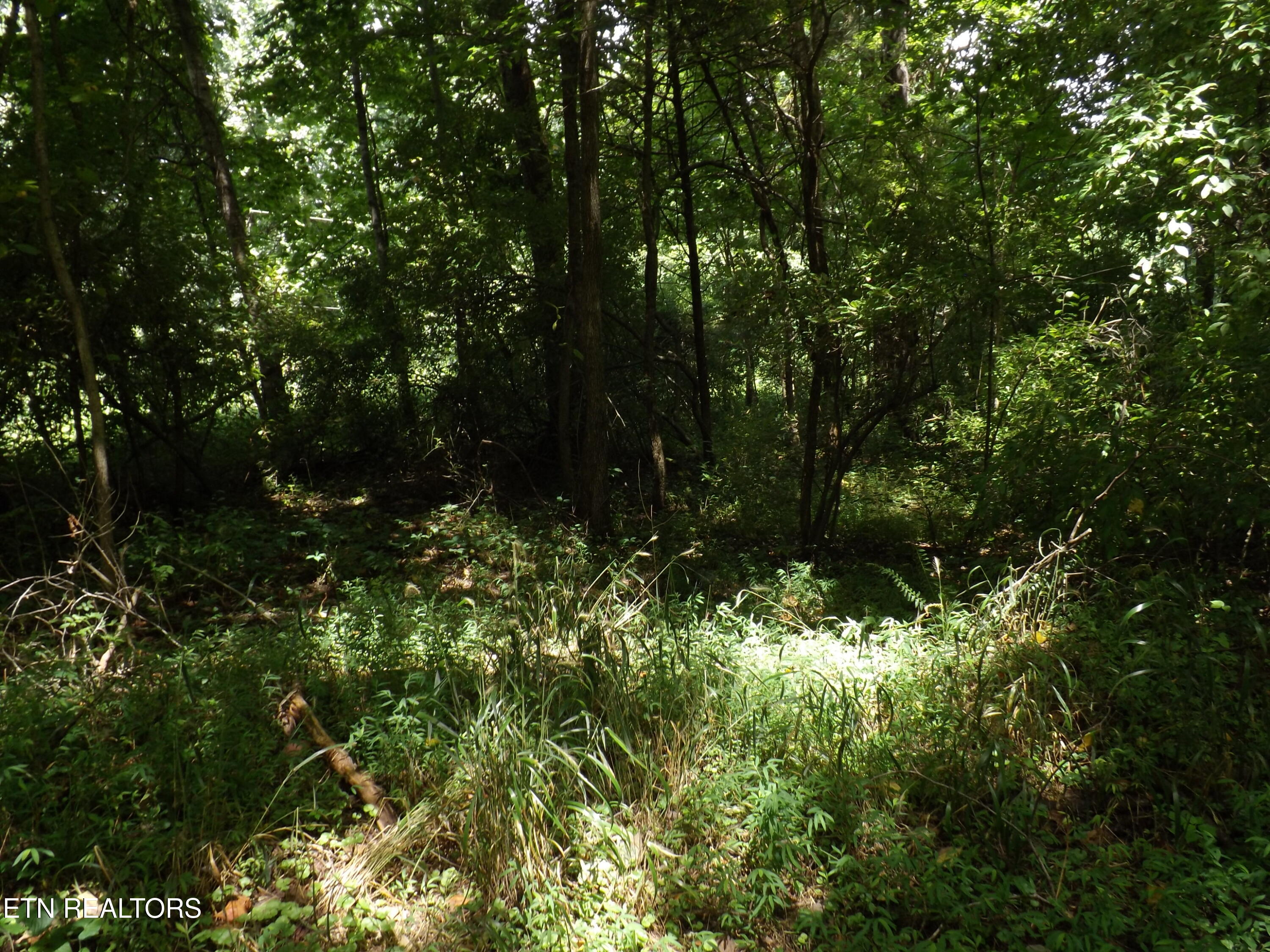 5075 E Highway 25e Tazewell TN 37879