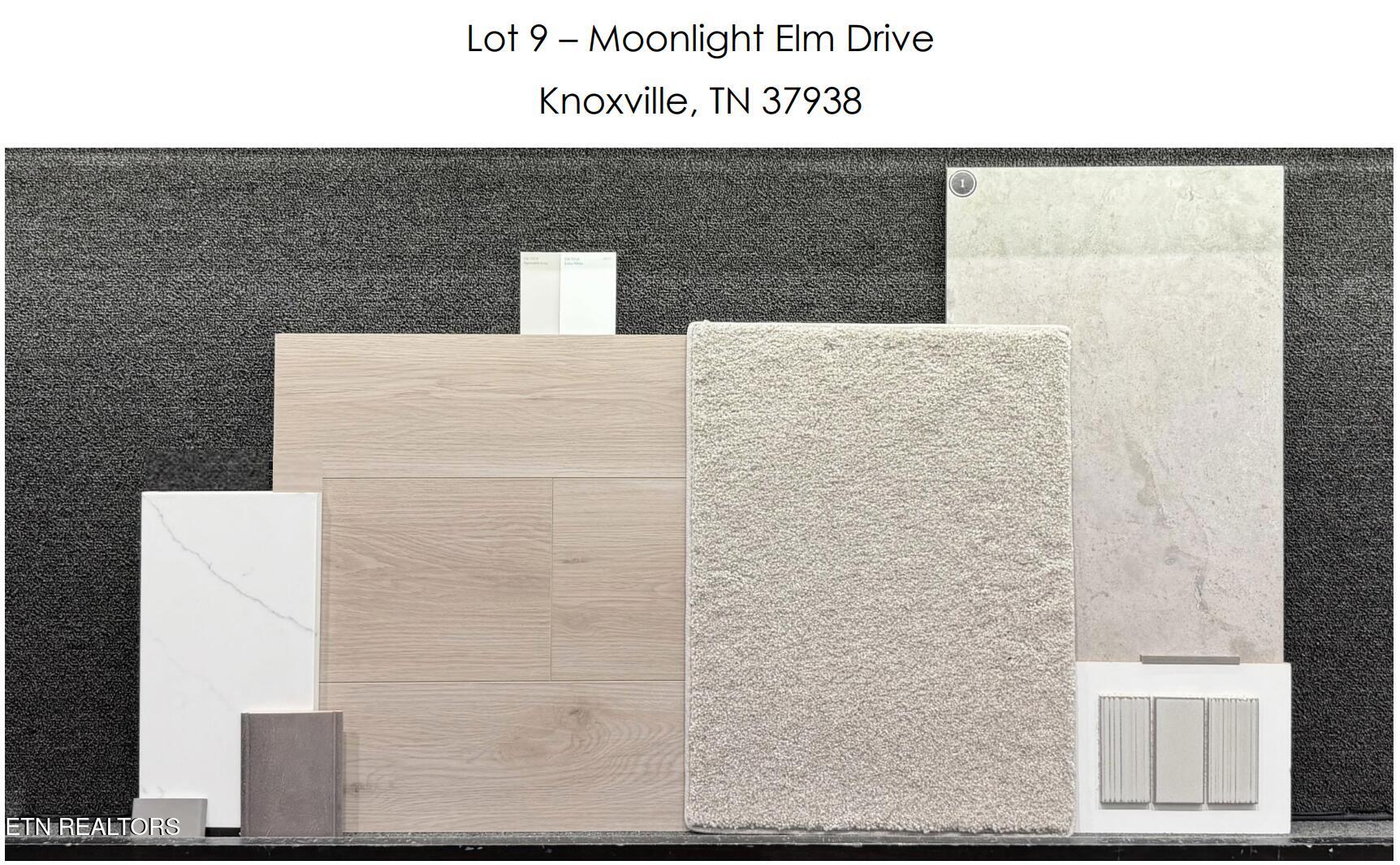 Moonlight Elm Drive Knoxville TN 37938