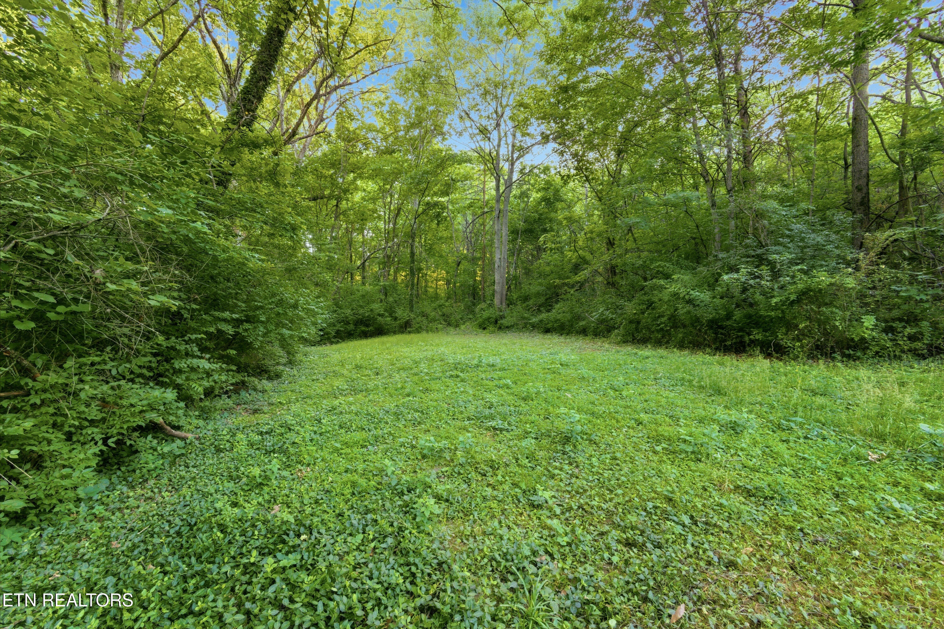 1900 Ridgecrest Drive Knoxville TN 37918