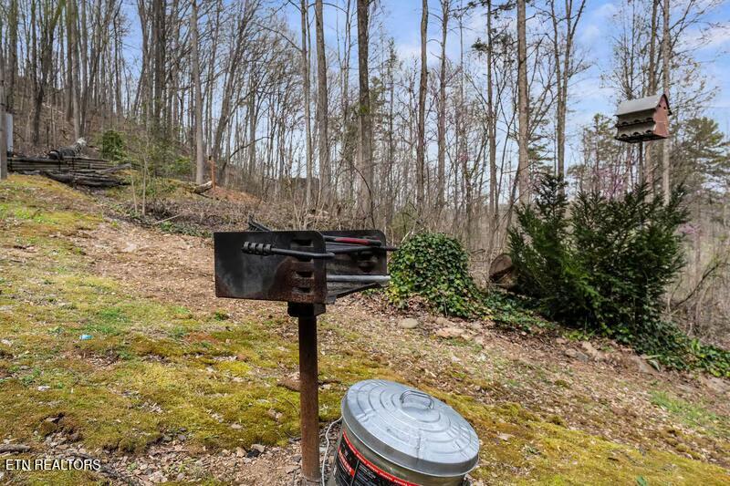 2850 Joyner Hills Lane Sevierville TN 37876