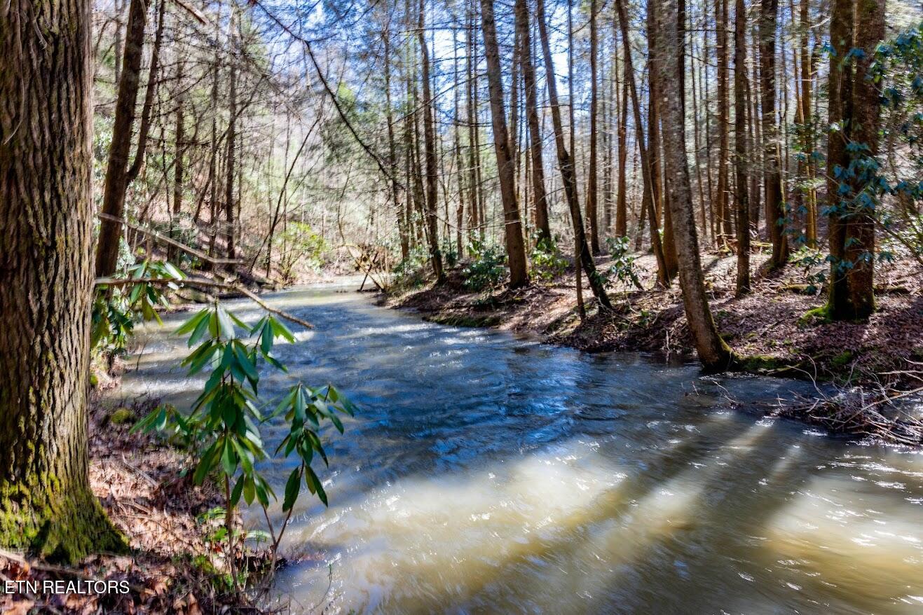 140 Luna Lane Spring City TN 37381