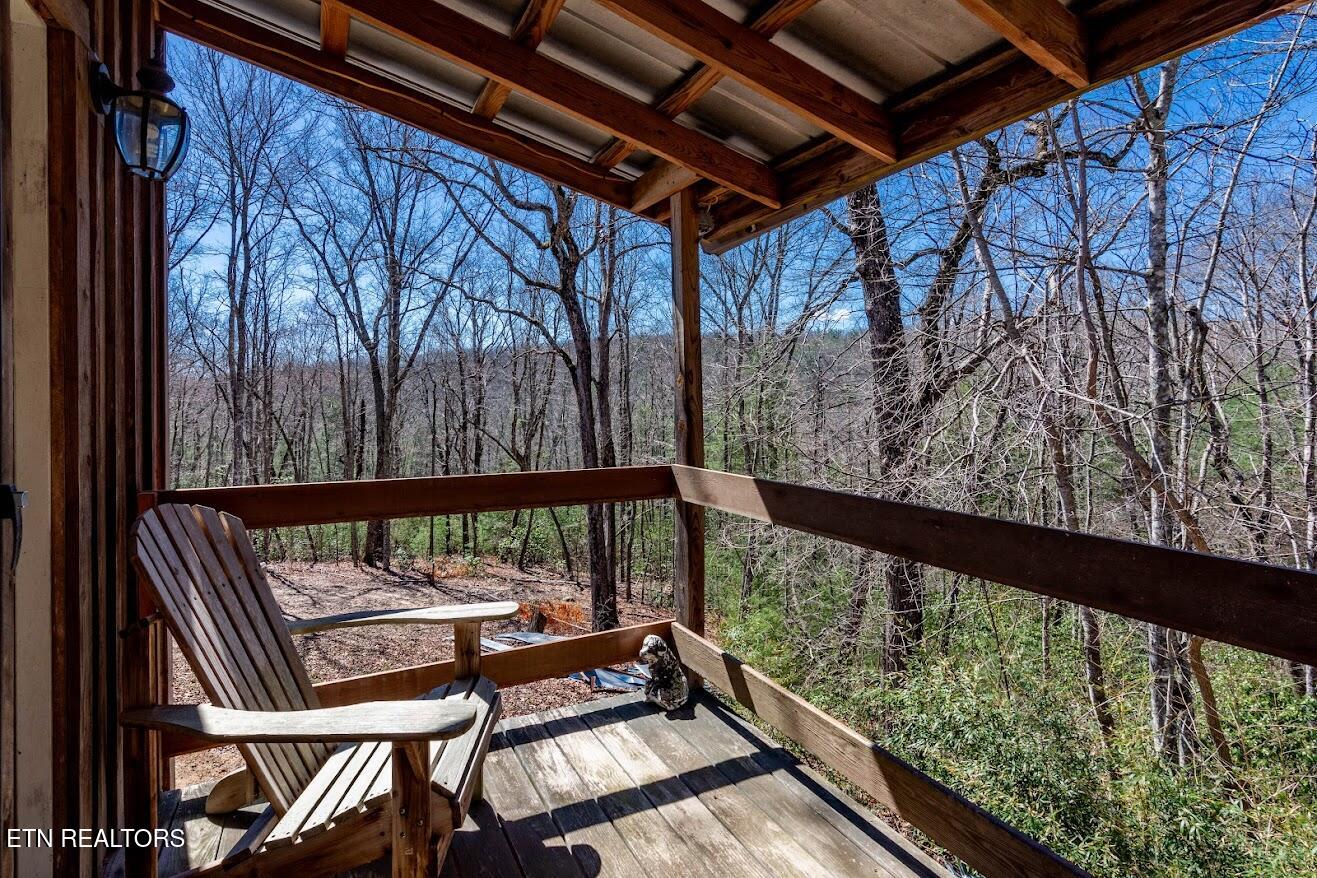 140 Luna Lane Spring City TN 37381