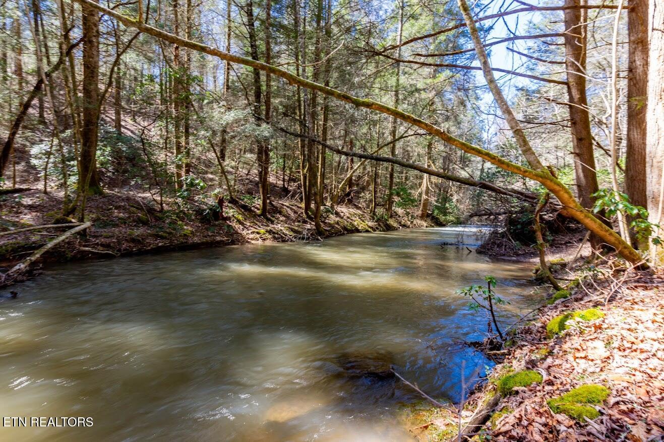 140 Luna Lane Spring City TN 37381