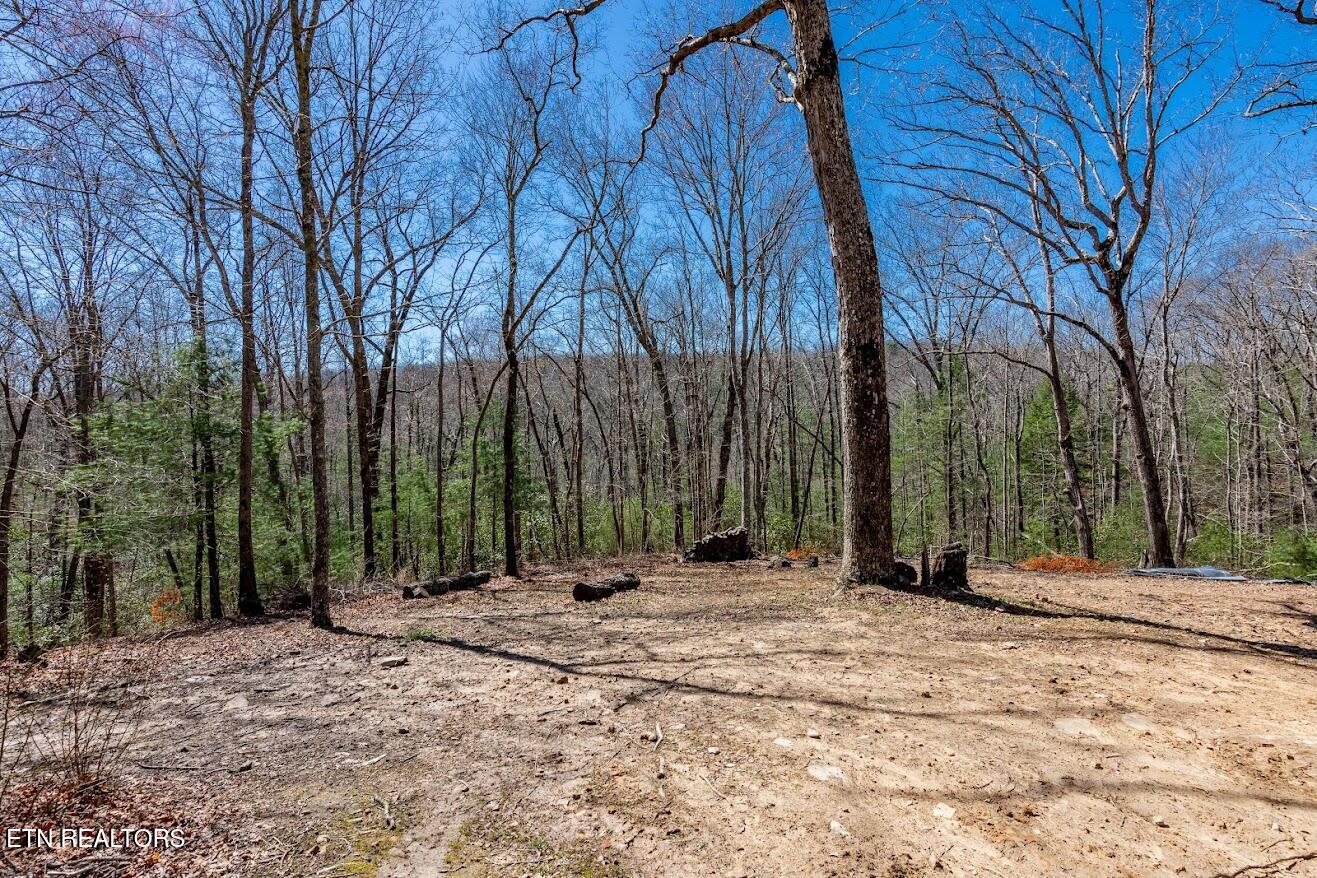 140 Luna Lane Spring City TN 37381
